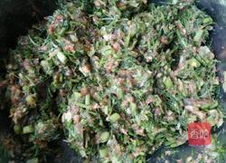 茴香猪肉饺子馅的做法图解8