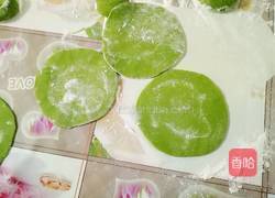 彩色饺子的做法图解9