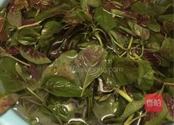 豆酱紫苋菜的做法图解1