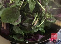 豆酱紫苋菜的做法图解4
