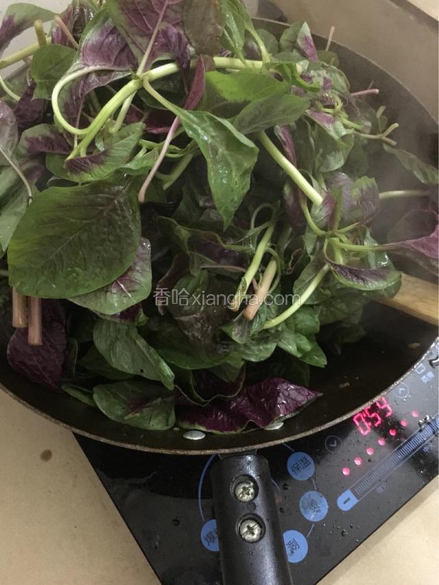 加入紫苋菜，慢慢翻炒