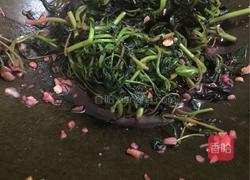 豆酱紫苋菜的做法图解8
