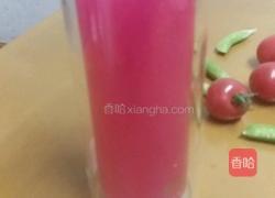 火龙果皮汁的做法图解4
