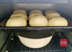 松软小餐包的做法图解5