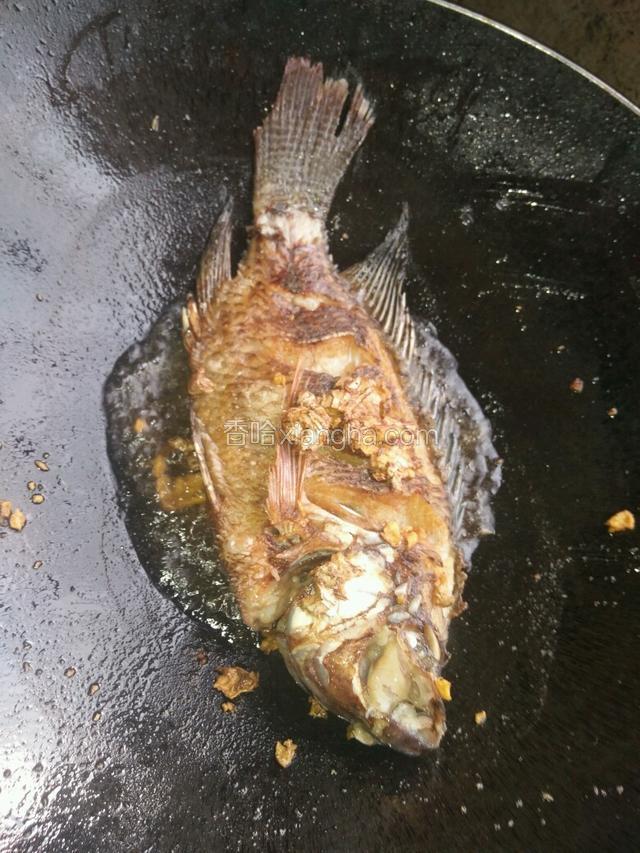 热油爆姜，再煎鱼，煎至金黄色。