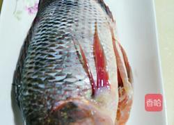 青蒸非洲鲫的做法图解1
