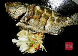 红烧啤酒鱼的做法图解4