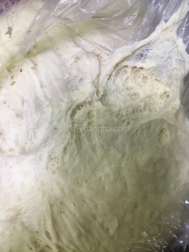 加适量的水揉成面团醒发至蜂窝状（两倍大）
