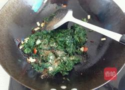 苜蓿饭的做法图解6