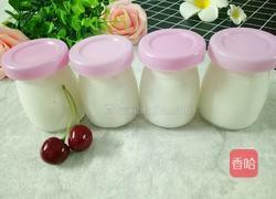 自制酸奶的做法图解1