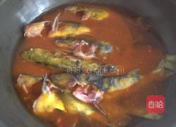 豆瓣戈雅鱼的做法图解7