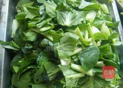 木耳油菜的做法图解1