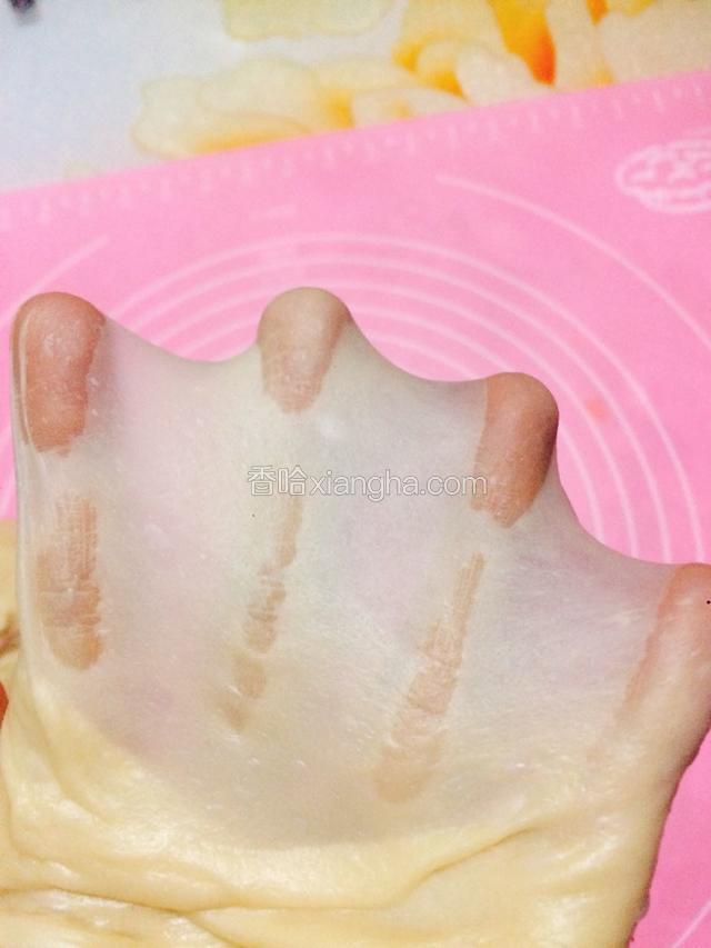 继续折腾面团，揉至能拉出薄膜的状态。