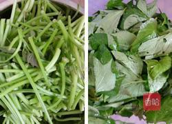 凉拌红薯叶的做法图解1