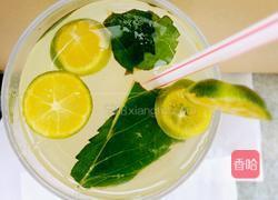 青柠薄荷茶的做法图解6