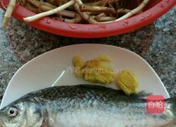 鱼腥草瘦肉鲫鱼汤的做法图解3