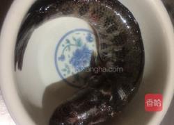 黑豆小麦旱莲草生鱼汤的做法图解1