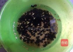 黑豆小麦旱莲草生鱼汤的做法图解4