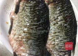 凉拌鲫鱼的做法图解4