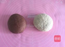 双色吐司（一次水浴发酵）的做法图解7