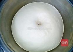 金钱小面包的做法图解6