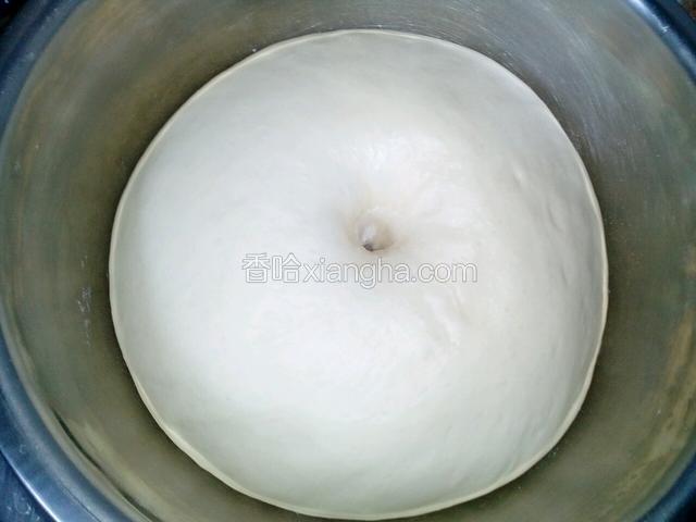 发酵至2.5倍大，用手出戳一下，不回缩不反弹就发好了。
