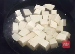 虾煲豆腐的做法图解2