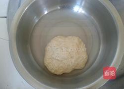 自制面筋的做法图解2