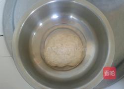 自制面筋的做法图解3