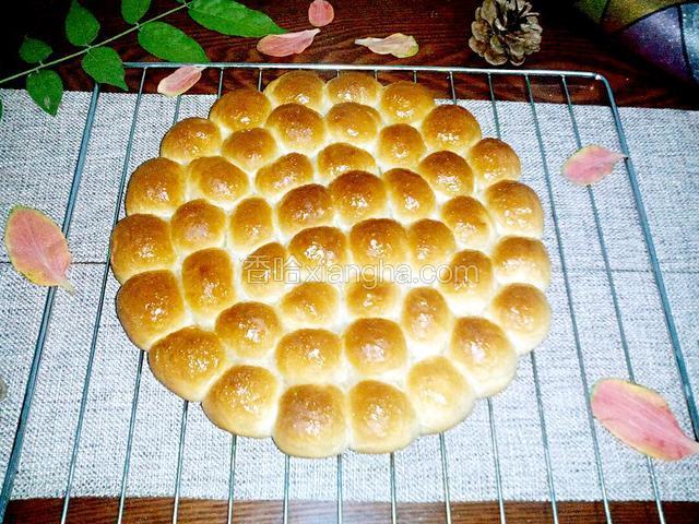 金钱小面包