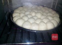 金钱小面包的做法图解12