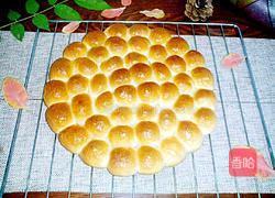 金钱小面包的做法图解15