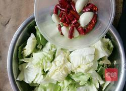 炒莲花白的做法图解1