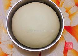 蜜豆餐包的做法图解4