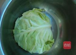 凉拌洋白菜的做法图解2