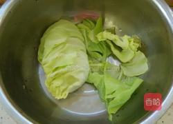 凉拌洋白菜的做法图解3