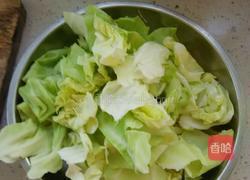 凉拌洋白菜的做法图解5