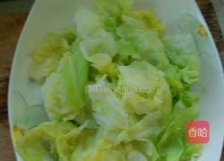 凉拌洋白菜的做法图解10