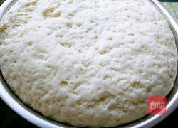 豆角酱肉包的做法图解6