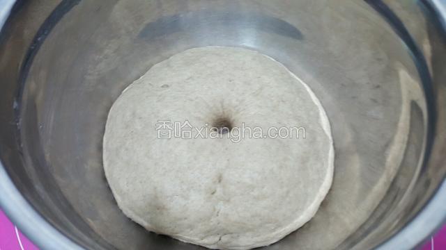 面团发酵至2倍大即可。