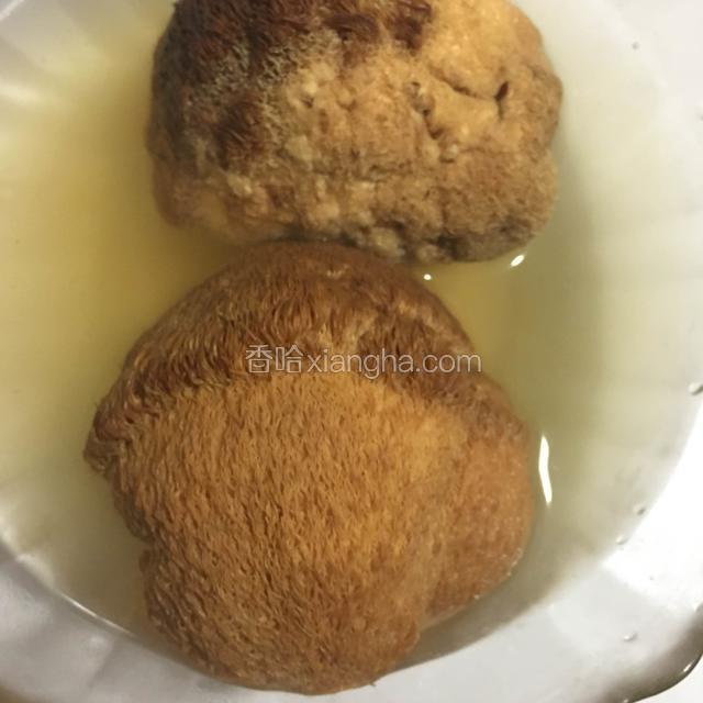 热水泡发猴头菇，待水份吸收为泡好。