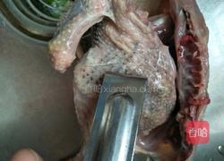 枸杞鸽子汤的做法图解2