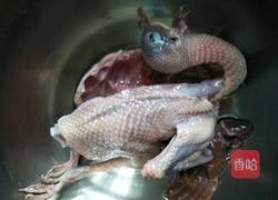 枸杞鸽子汤的做法图解4