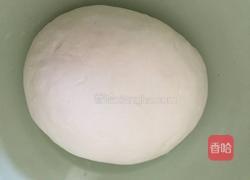 金鱼饺子的做法图解4