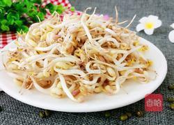 饮料瓶生绿豆芽的做法图解2