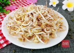 饮料瓶生绿豆芽的做法图解1