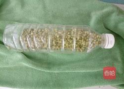 饮料瓶生绿豆芽的做法图解5