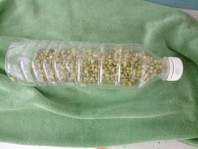 把绿豆装进瓶子里！用毛巾包上不见光，放在温暖处！每天用凉水过滤三遍，早中晚各一次！