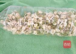 饮料瓶生绿豆芽的做法图解7