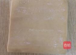 香脆小馄饨的做法图解4